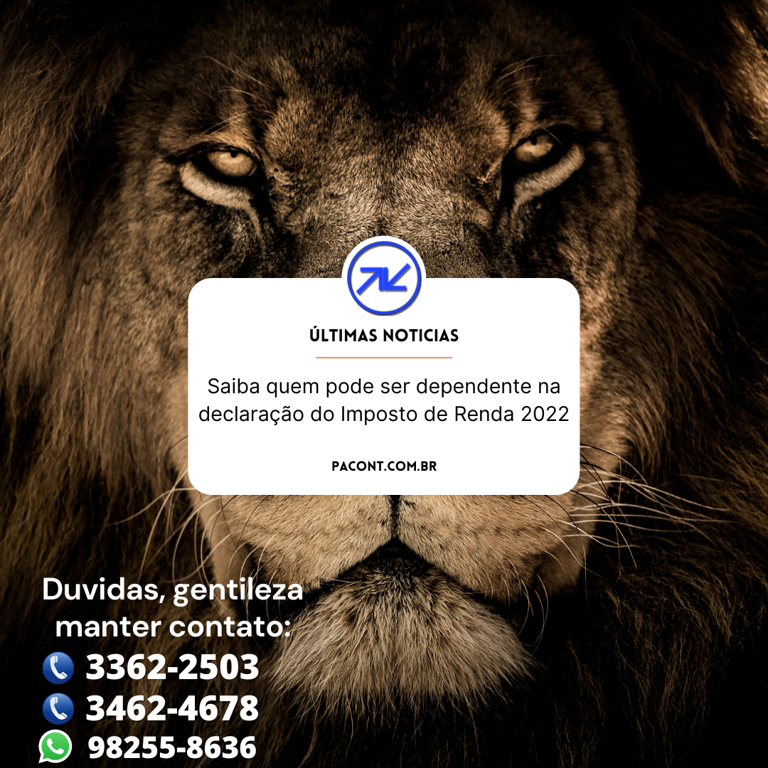 Saiba quem pode ser dependente na declara o do imposto de renda 2022